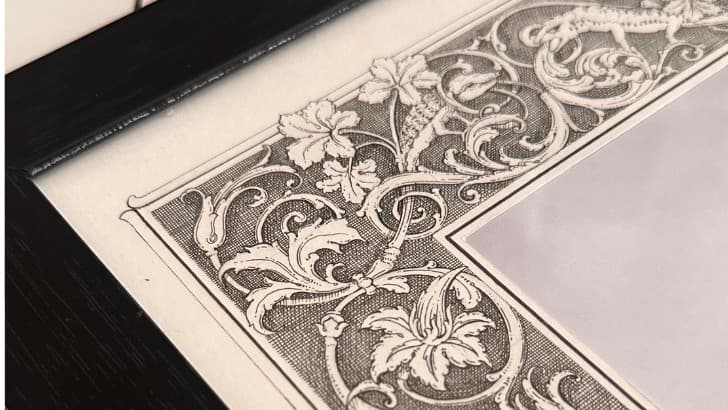 How to Draw Acanthus Leaves, Step by Step