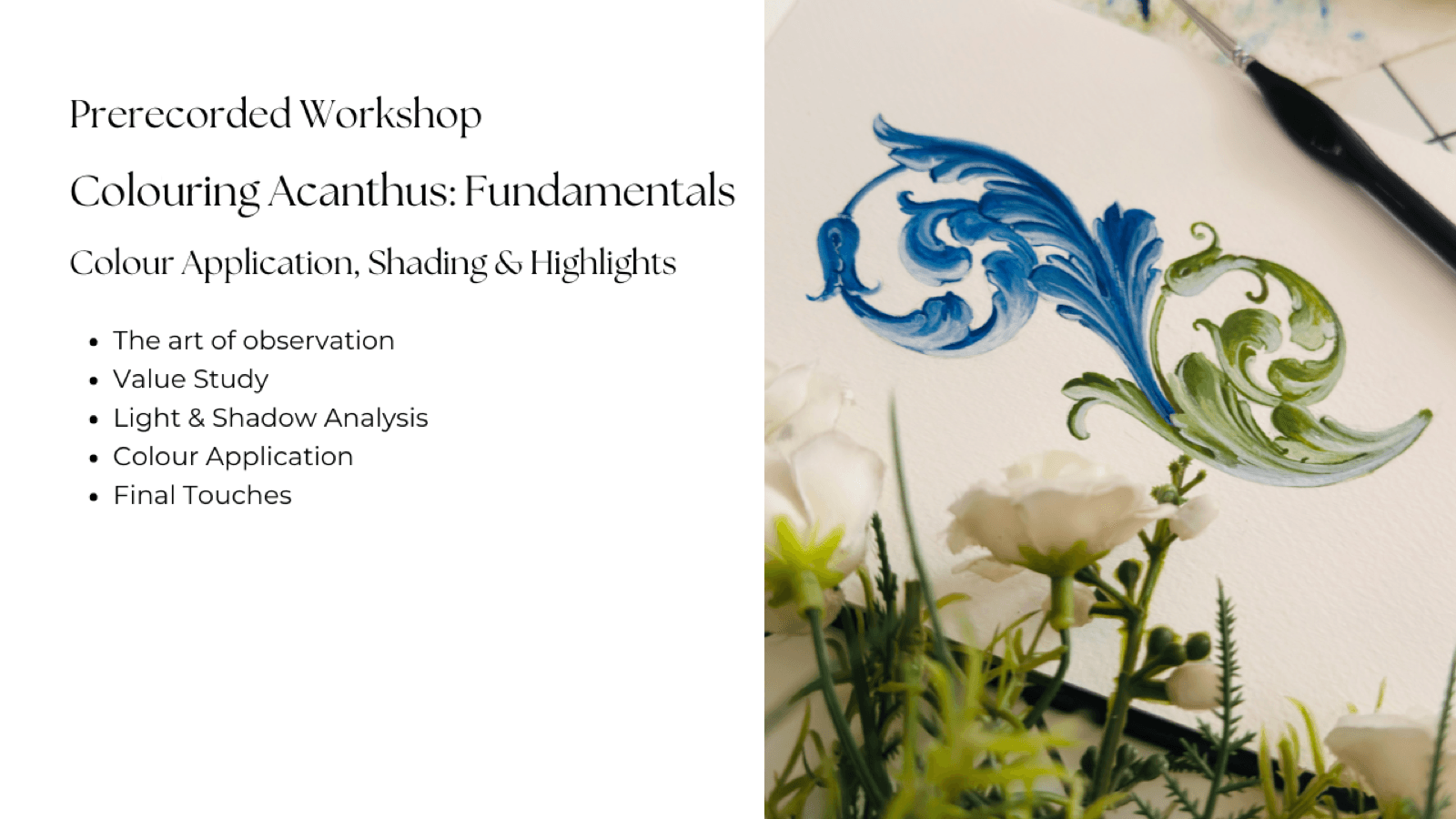 Colouring Acanthus: Fundamentals