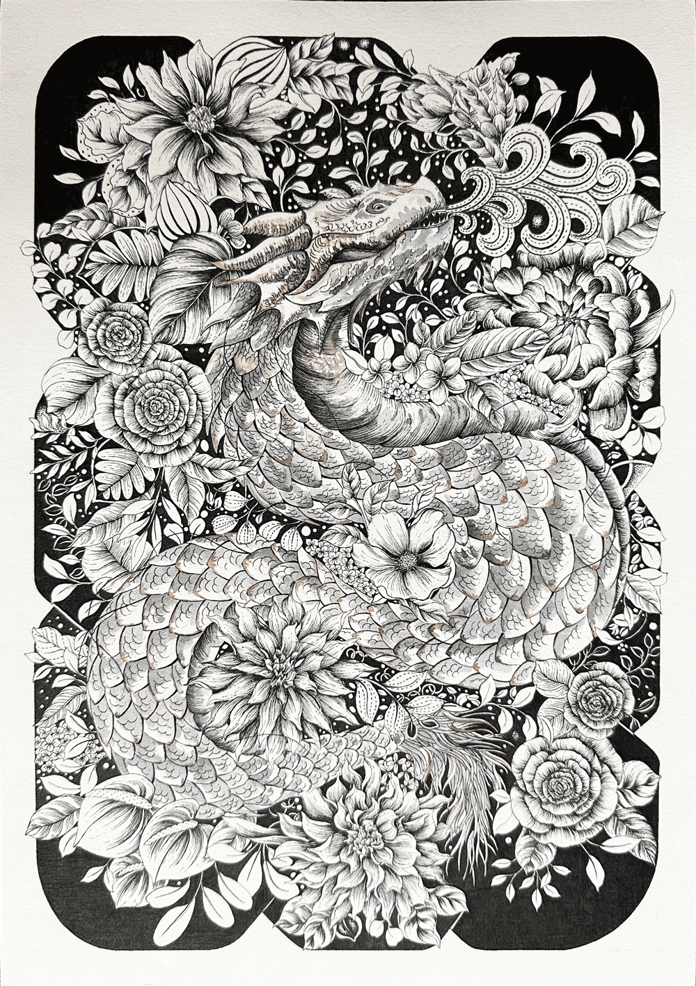 Wishful Dragon