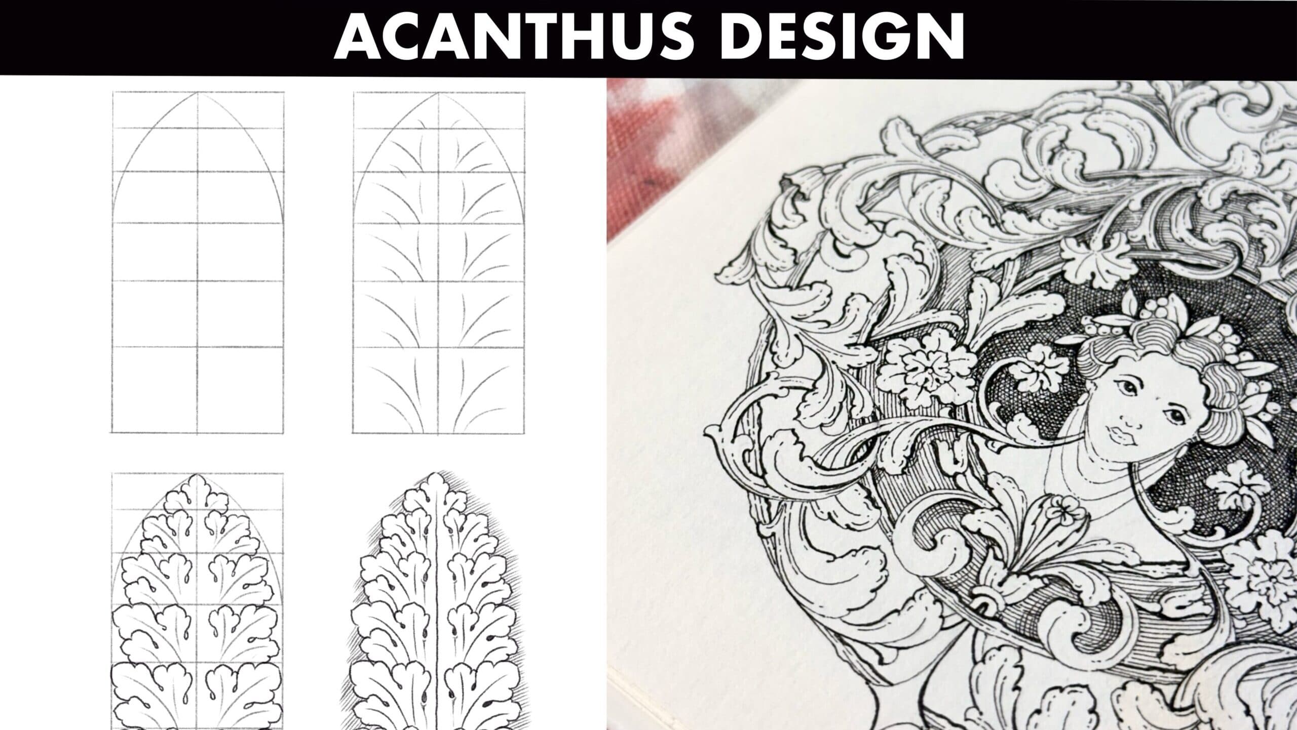 Fundamentals of Acanthus Design