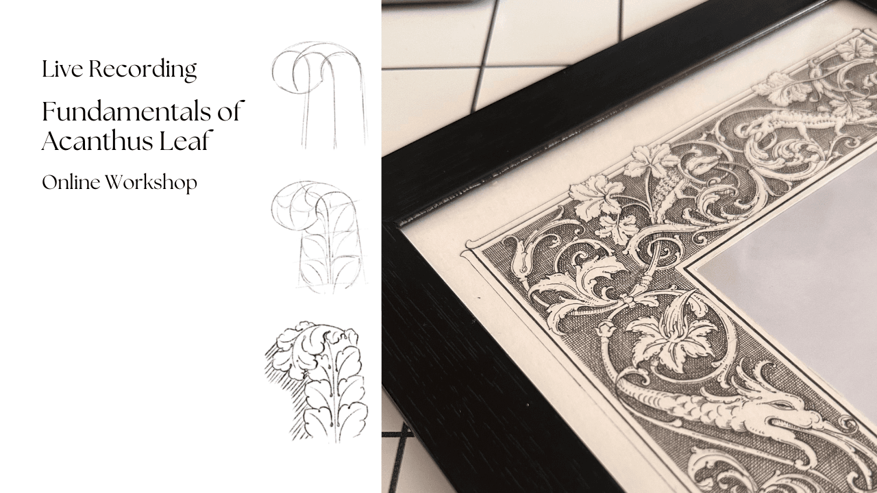 Fundamentals of Acanthus Leaf