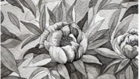 The Best Pens and Paper for Ink Drawing Beginners
