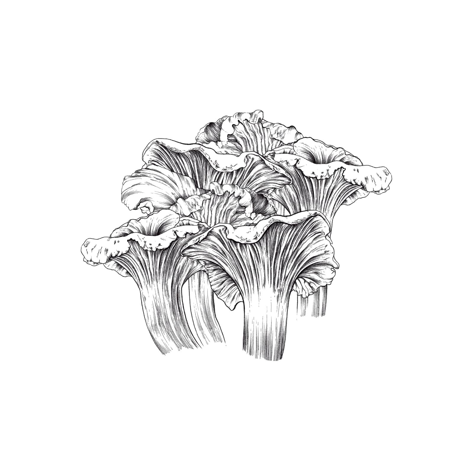 Parterre Gardens - Perfume Packaging