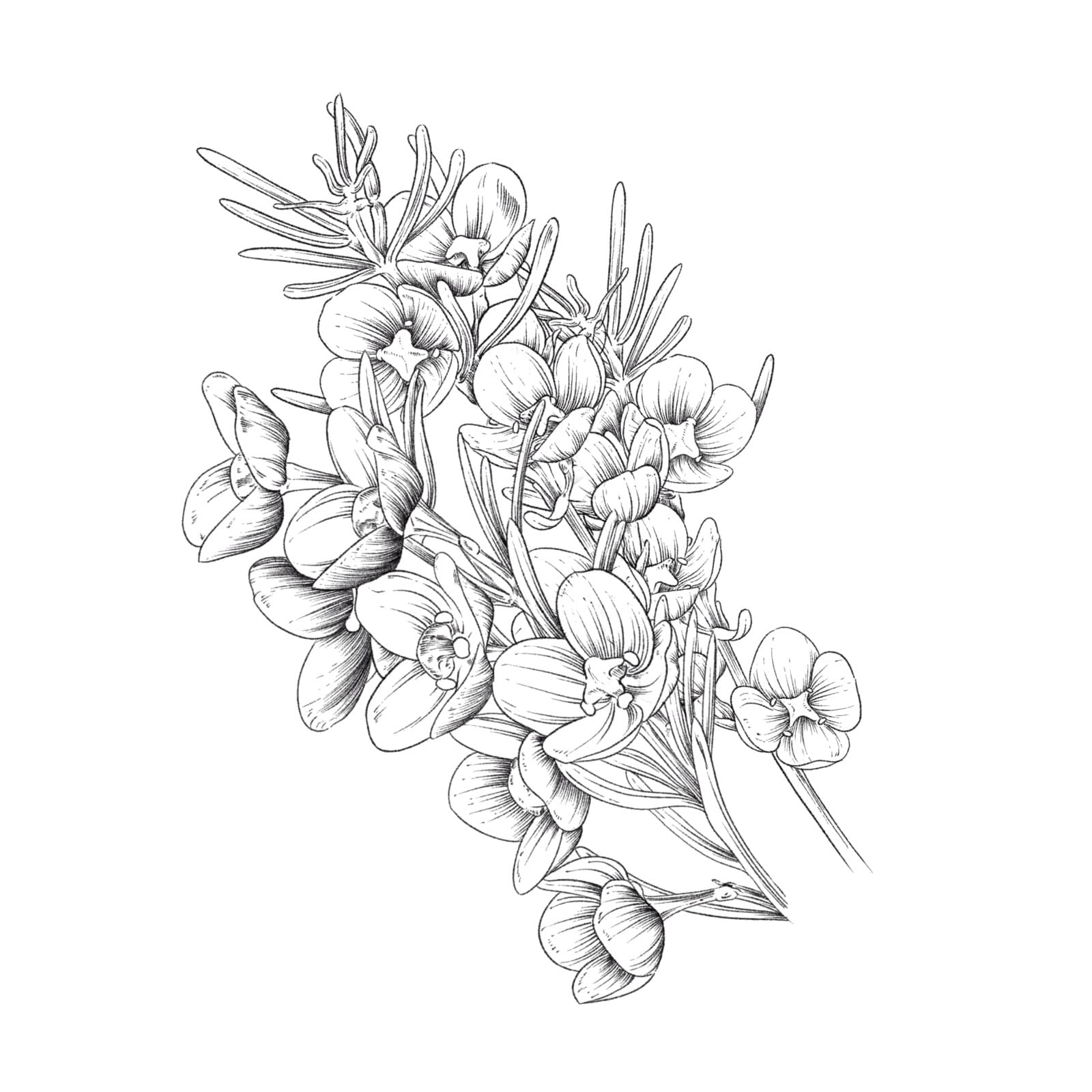 Parterre Gardens - Perfume Packaging
