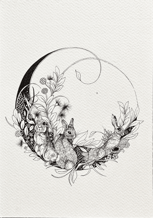 Rabbits in Wonderland