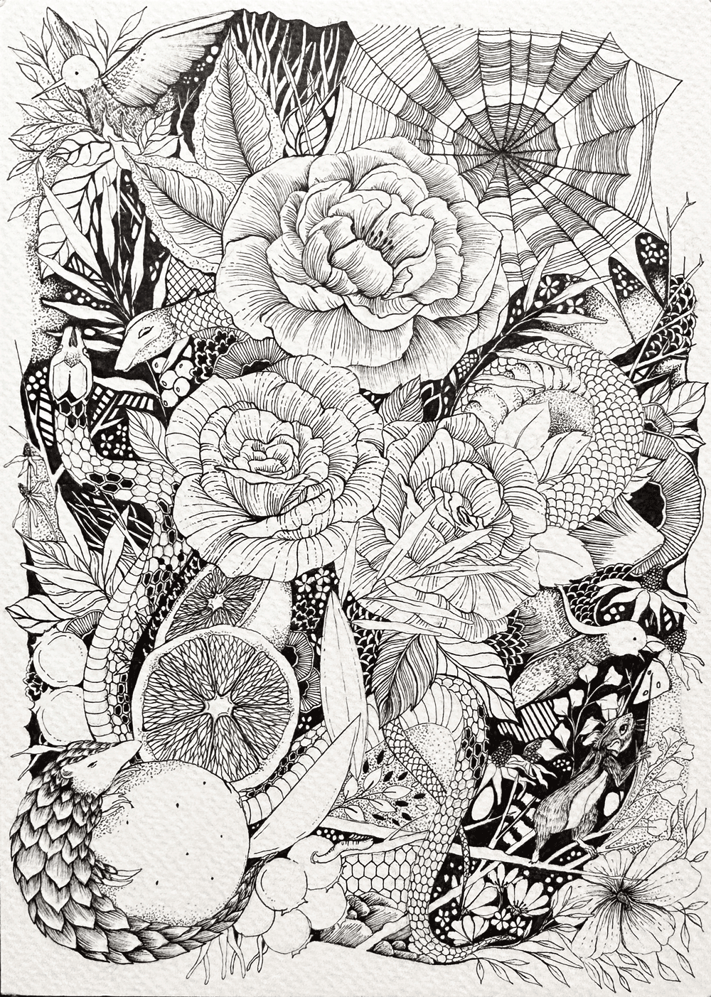 Wild Glimpse