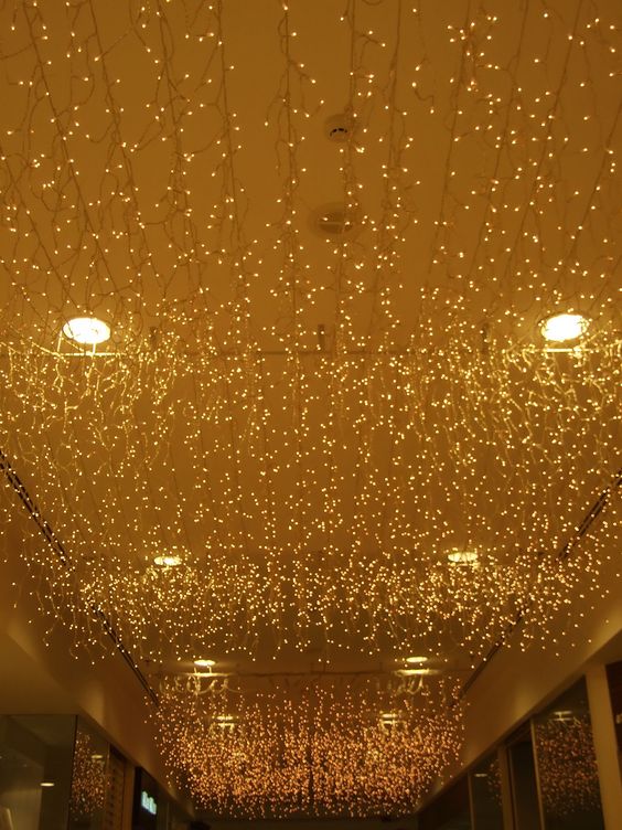 fairylights23@ooshybooshy