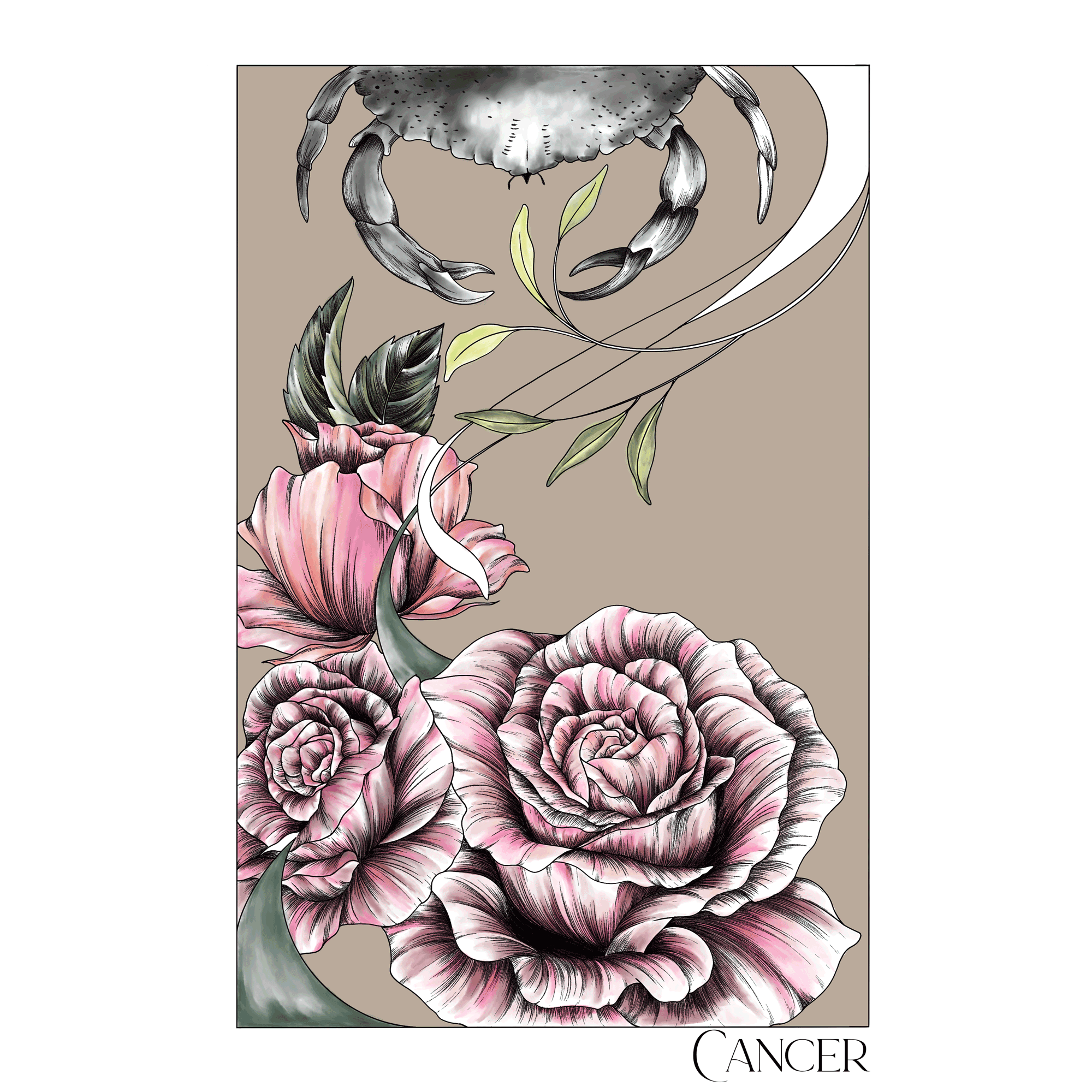 Cancer - 07 - Image 5