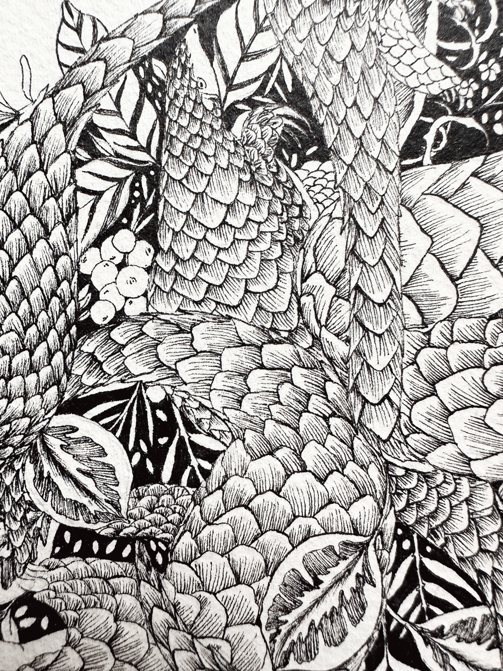 Pangolins Day Out - Image 2