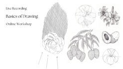 LIVE RECORDING – Basics of Drawing