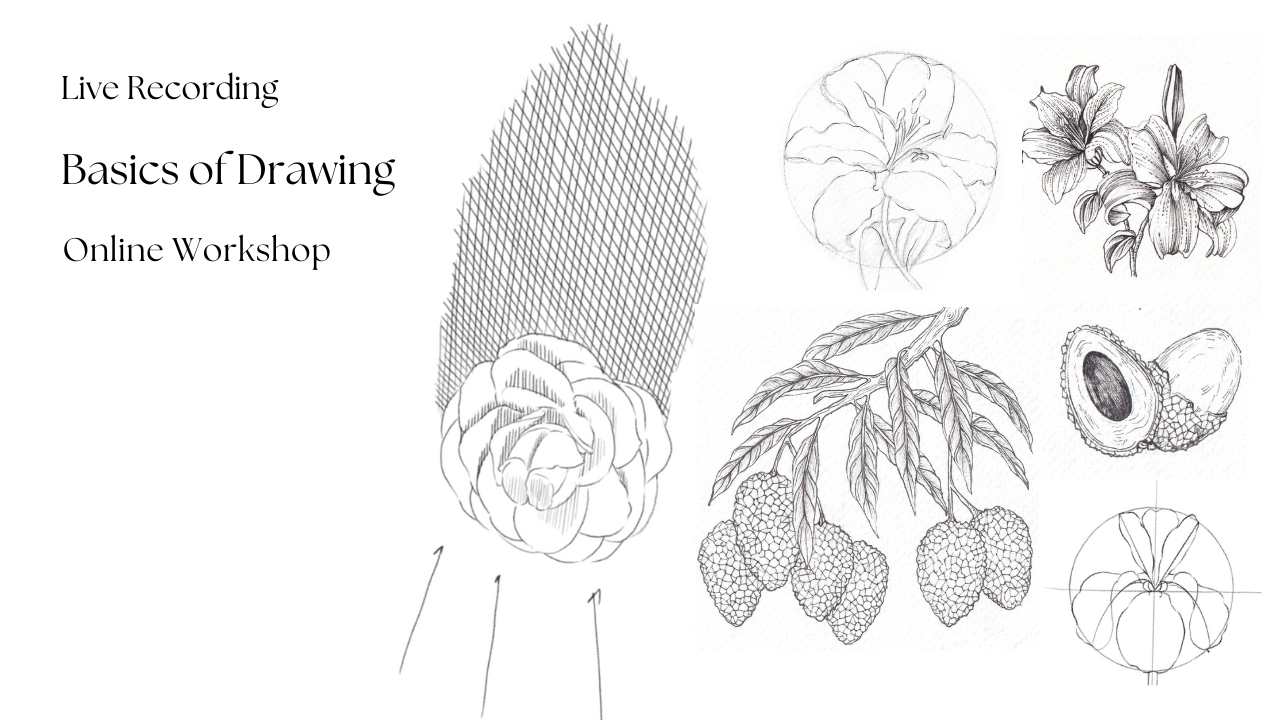 LIVE RECORDING – Basics of Drawing
