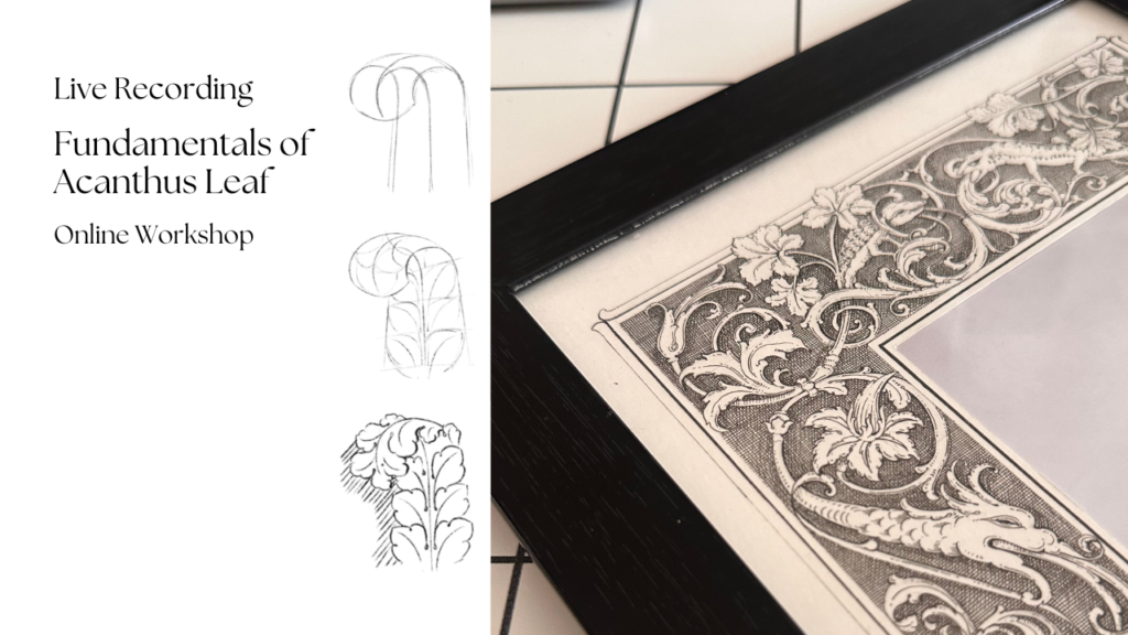 LIVE RECORDING – FUNDAMENTALS OF ACANTHUS LEAF