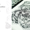 LIVE RECORDING – ADVANCED ACANTHUS DESIGN